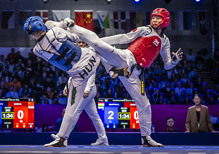 Двобій на Чемпіонаті світу