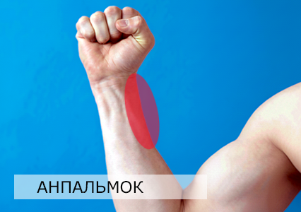 Внутрішня контактна частина передпліччя для захисту в Тхеквондо