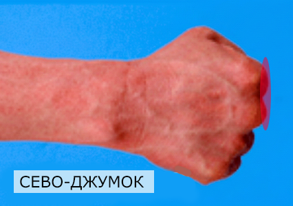 Вертикально розташований кулак в Тхеквондо